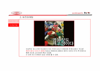 [소비자행동론] 소비자 행동이론으로 분석한 KT 마케팅 사례와 광고-11