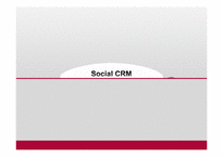 [이비즈니스] Social CRM의 이해와 적용에 관한 사례 분석-1
