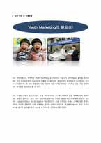 [마케팅] 현대자동차 브랜드 이미지 향상을 위한 Youth Marketing 전략-3