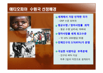 [국제개발협력의이해] 에티오피아 공적개발원조(ODA) 지원 전략-4