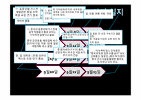 [외교정책] 일본 외교정책의 실제사례(조어도분쟁을 중심으로)-11