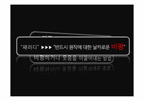 패러디와 저작권-6