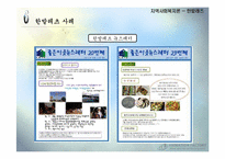 [지역사회복지론] 지역화폐 운동-17