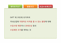 [국제통상론] 한중 마늘 세이프가드 분쟁-5