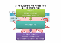 [국제통상론] 한중 마늘 세이프가드 분쟁-16