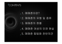 [성과문학] 매매춘의 이해와 분석-2