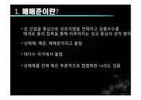 [성과문학] 매매춘의 이해와 분석-3