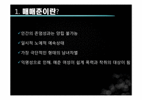 [성과문학] 매매춘의 이해와 분석-4