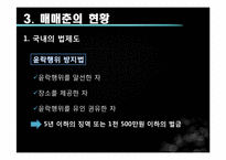 [성과문학] 매매춘의 이해와 분석-8