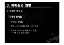 [성과문학] 매매춘의 이해와 분석-9