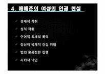[성과문학] 매매춘의 이해와 분석-13