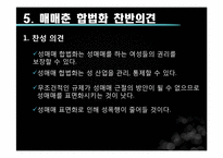 [성과문학] 매매춘의 이해와 분석-16