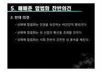 [성과문학] 매매춘의 이해와 분석-17