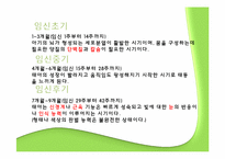 [식생활관리] 산모와 식생활-5