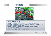 [현대인의질병과식생활] 건강음료-14