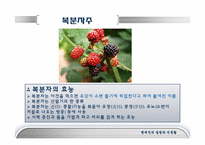 [현대인의질병과식생활] 건강음료-16