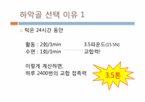 HAp+Ti 복합체를 이용한 하악골 지지체-3