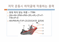 HAp+Ti 복합체를 이용한 하악골 지지체-15
