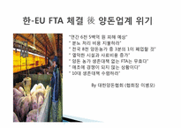 [국제통상] 한 EU FTA 분석-19