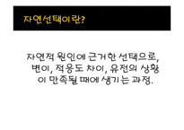 [생명과학] 성선택-3