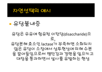 [생명과학] 성선택-4