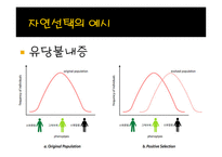 [생명과학] 성선택-5