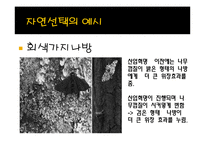 [생명과학] 성선택-6
