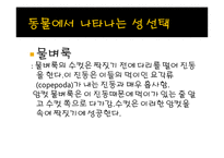 [생명과학] 성선택-11