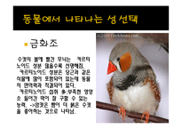 [생명과학] 성선택-12