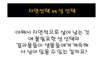 [생명과학] 성선택-14