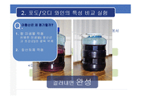 [식품미생물학실험] 포도와인과 오디와인의 비교 분석-11