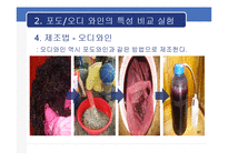 [식품미생물학실험] 포도와인과 오디와인의 비교 분석-12