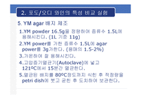 [식품미생물학실험] 포도와인과 오디와인의 비교 분석-13
