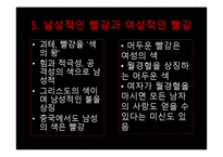 빨강에 대한 분석-7