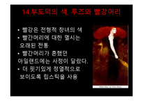 빨강에 대한 분석-16