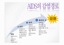 [보건학] AIDS(후천성 면역결핍 증후군)-7
