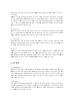 [경영전략] HJC의 성공요인과 전략 제안-6