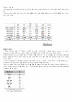 기아자동차의 디자인경영 전략과 향후 전망-6