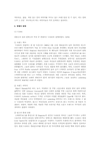 [경영학] 컨버스의 브랜드 커뮤니케이션 전략-4