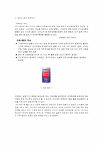 [경영학] 숙취 해소제 컨디션의 마케팅 분석-5