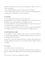 [국제경영] 노키아의 성공과 위기-18