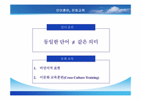 국제적 인적자원관리-15
