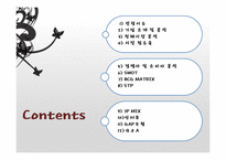 [경영학] 리젠 성형외과의 서비스 마케팅 분석-2