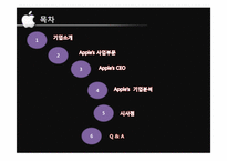 [국제경영] 애플의 마케팅 전략과 시사점-2