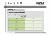 [경영학] 성주그룹 MCM마케팅 목표 및 핵심전략-15