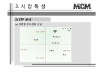 [경영학] 성주그룹 MCM마케팅 목표 및 핵심전략-19