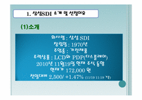 [금융자산 관리론] 삼성 SDI 재무분석 및 투자 전망-3