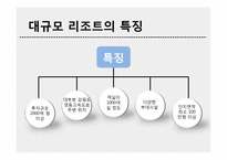 [관광경영학] 변산 대명리조트와 경쟁사 분석-8