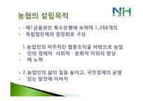 [금융자산 관리론] NH농협 재무분석 및 발전 방향-3