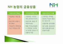 [금융자산 관리론] NH농협 재무분석 및 발전 방향-13